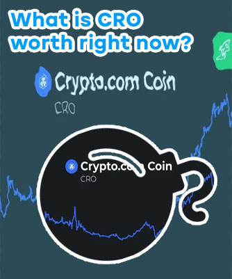 How much is crypto coin worth