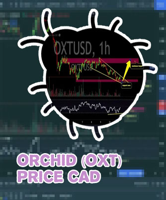 Oxt crypto price