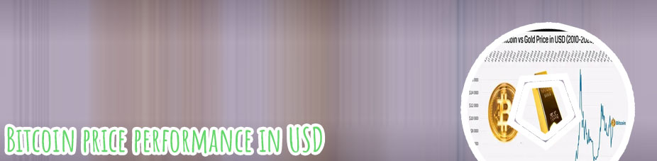 Usd vs bitcoin
